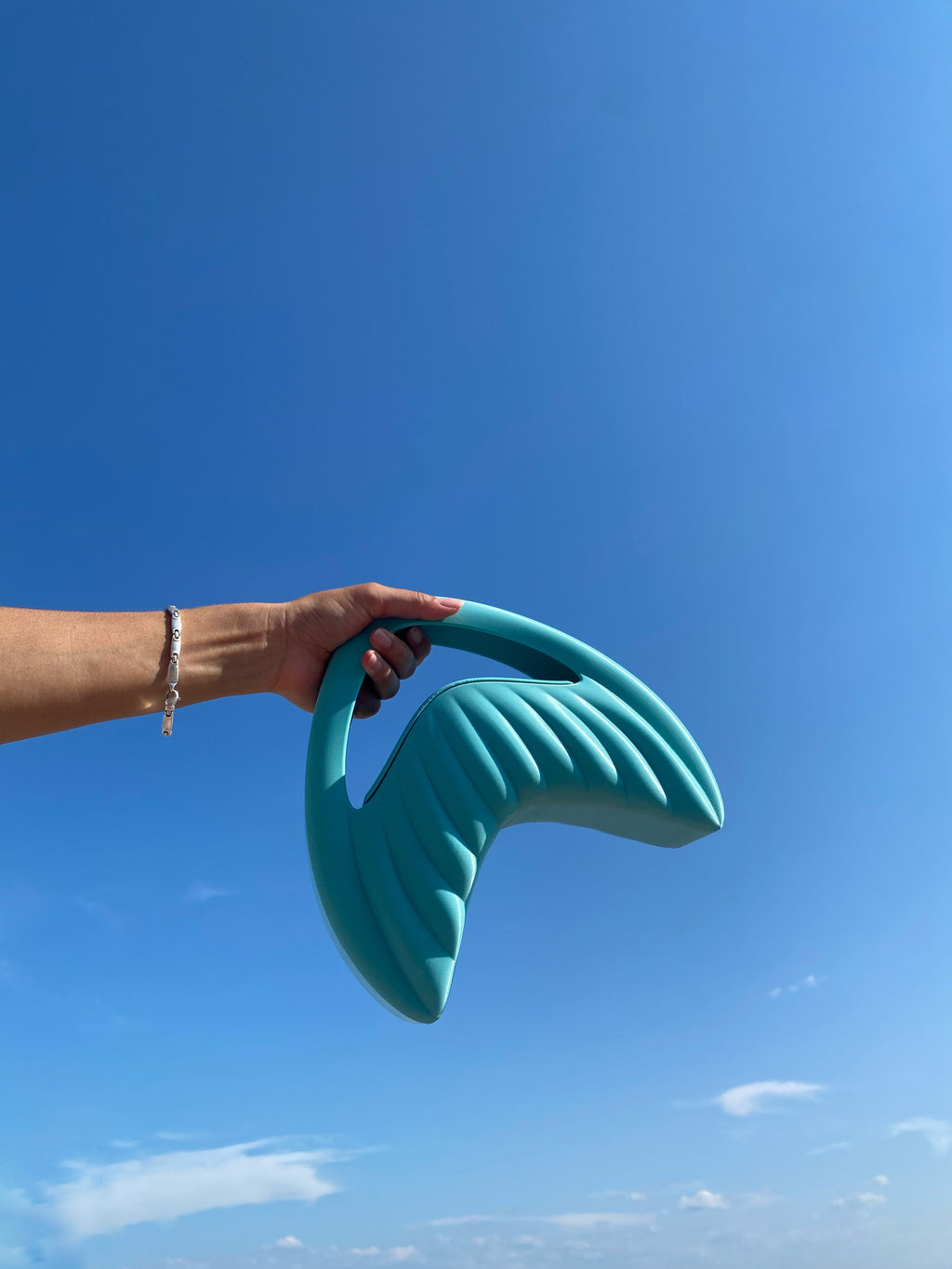 THE URCHIN PURSE (Blue)
